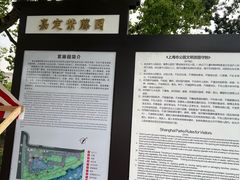 -嘉定紫藤园