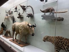 -国家自然博物馆