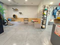 -伟伟宠物医院·CT影像中心·瑞派犬猫综合性门诊(汉口总院)