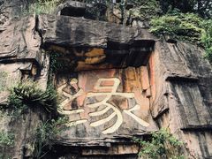 -三水森林公园