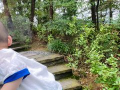 -千岛湖天屿景区