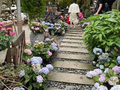 -大隐花事(熊婆婆的花园店)