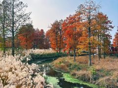 -四明湖