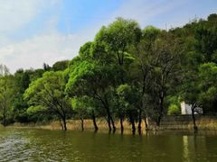 -柳树湾风景区