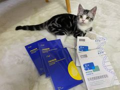 -翊宠yipet猫狗购宠庄园犬舍•猫舍