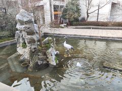 -广富林宰相府酒店·水云间
