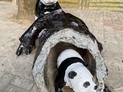 -深圳野生动物园
