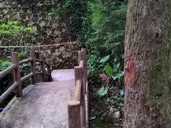-火炉山森林公园