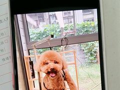 -奈斯宠物医院·核磁CT·异宠专科·内镜(中南店)