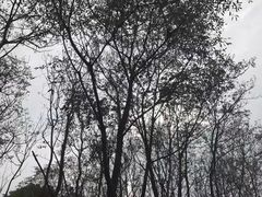 -艾溪湖湿地公园