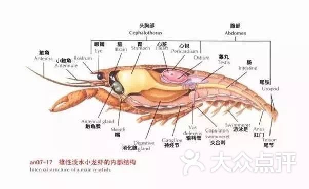 就是包子脸上传的图片