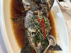 -骏莱海鲜鱼港(五角场店)