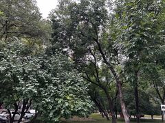 -元大都城垣遗址公园