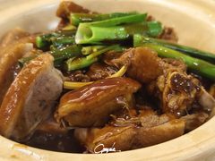 -泉龙渔村·粤式早茶·金牌烧鹅(中山三乡店)