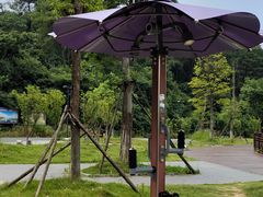 -青龙山国家森林公园