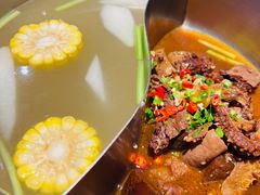 -掂档潮汕牛肉火锅(沈阳万象城店)