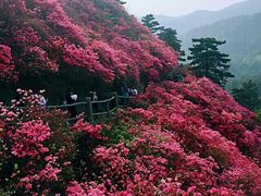 -木兰云雾山