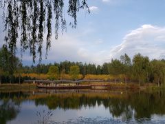 -东郊湿地公园