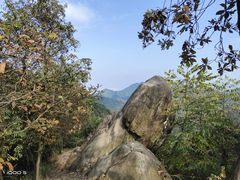 -南山植物园