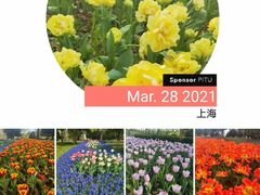 -上海鲜花港