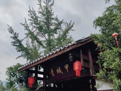 -青城甲(青城山店)
