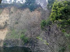 -王借岗森林公园