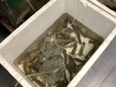 -阿杰臻选海鲜饭店(普陀山店)