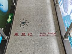 -中国第四纪冰川遗迹陈列馆