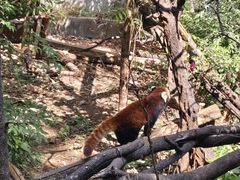 -昆明动物园