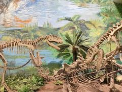 -自贡恐龙博物馆