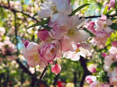 -元大都城垣遗址公园