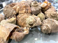 -斯通泰伯酒店-餐厅