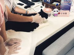 -宠爱国际动物医院· 猫科· 外科·中兽医(长白店)