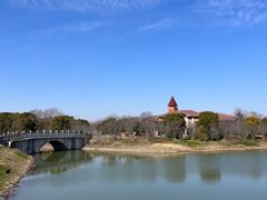 -上海海湾国家森林公园