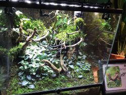 -酷嗒动物文化乐园(cutezoo西溪乐天城店)