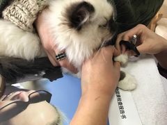 -惠康宠物医院(华能路店)