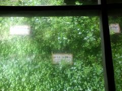 -东关历史文化旅游区-东门遗址