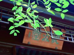 -梅园