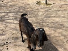 -水上乐园·欢乐世界