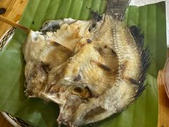 -杨合林啊兰烤鱼