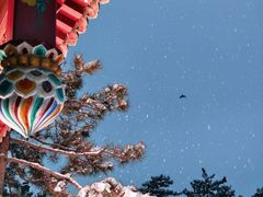 -颐和园