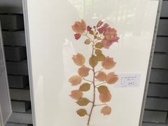 -云溪植物园