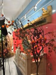 -星豆豆儿童摄影(南郊太白南路店)