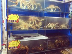 -蚝专家(北滘店)