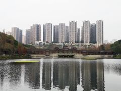 -重庆彩云湖湿地公园