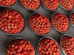 -西郊国际农产品交易中心