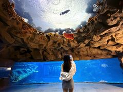-南昌融创海世界