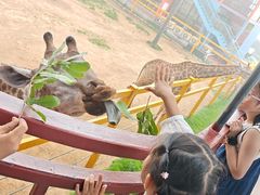 -西霞口神雕山野生动物世界