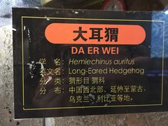 -北京动物园