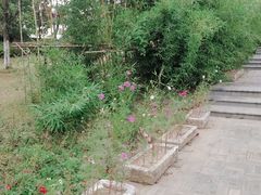 -武汉园博园(武汉自然博物馆)